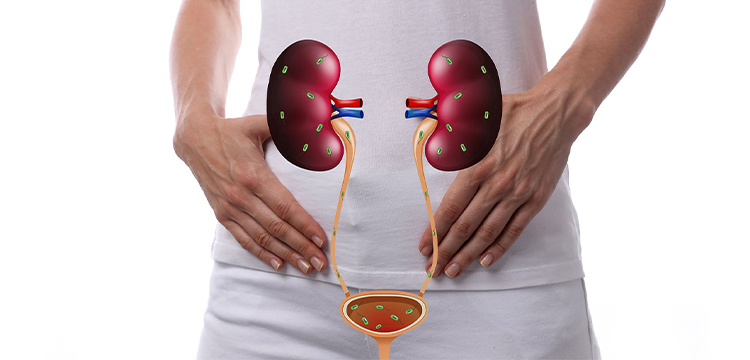 Kidney/Urinary/Bladder Treatment in Bibwewadi, Pune by Dr. Rutik Gandhi